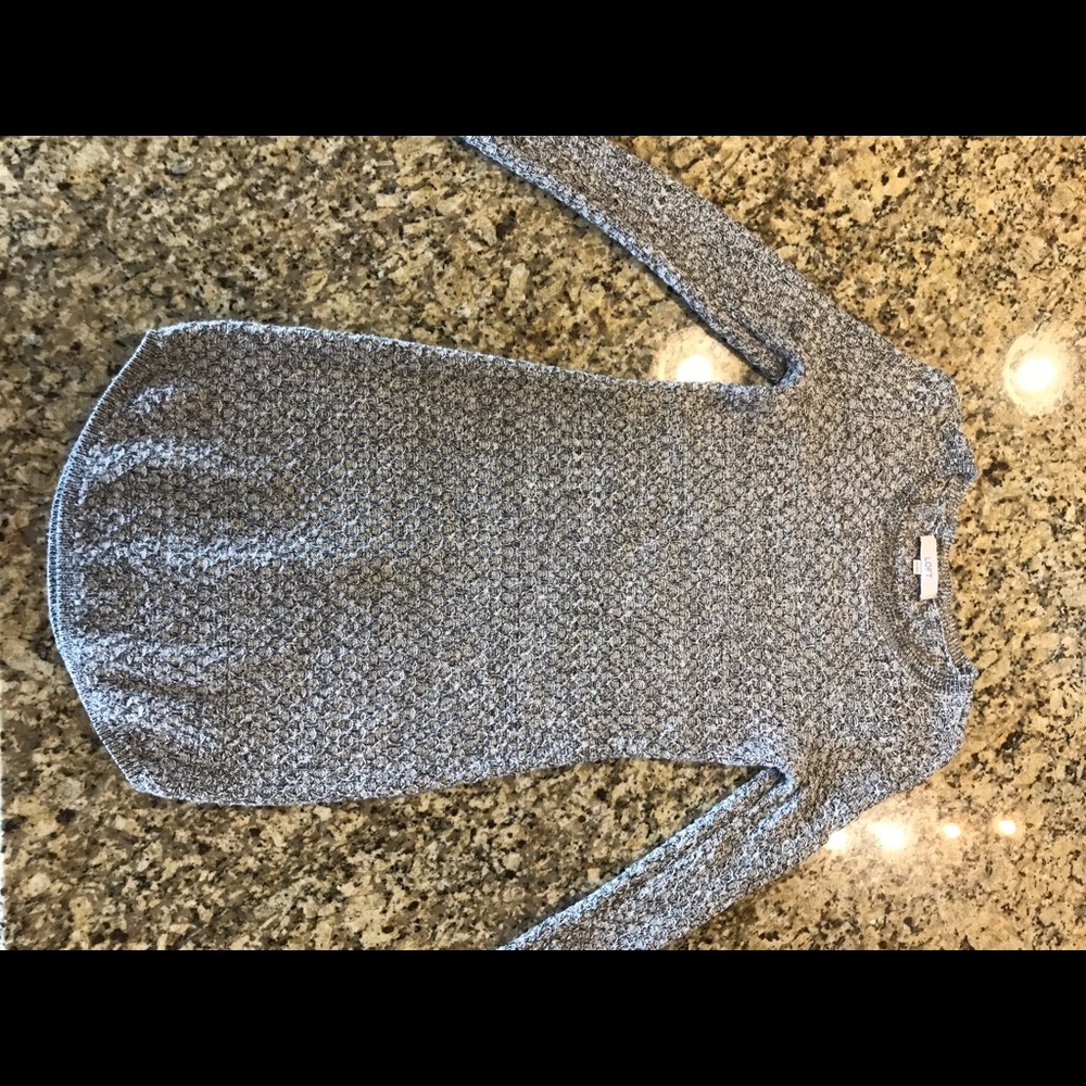 Loft Sweater Dress